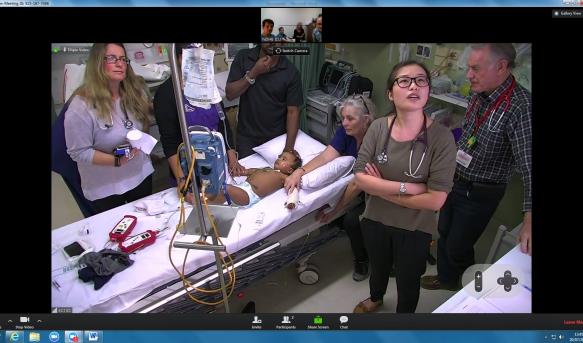 Telehealth system used in Bay of Islands for first time