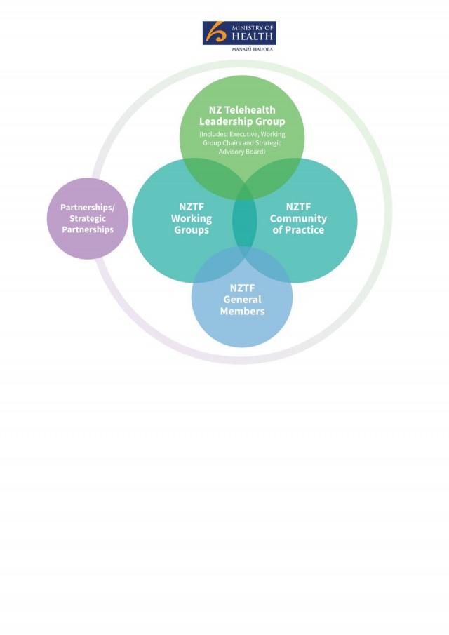 NZ Telehealth organisation overview graphic 